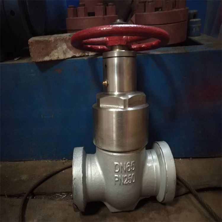 GZF83Y-200高壓硬密封卡箍平板閘閥